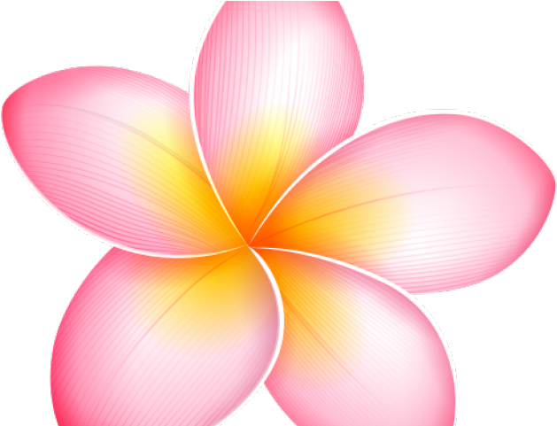 flower, rose, sea high quality png images