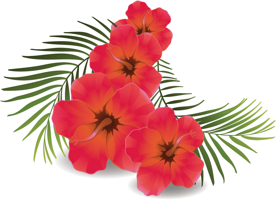 flower, symbol, hawaii png photo background