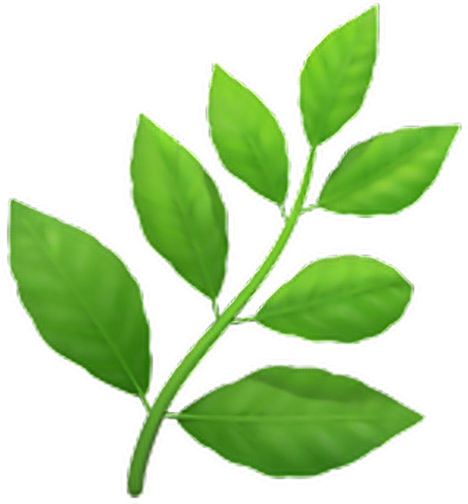 leaf, mint, phone PNG images for editing