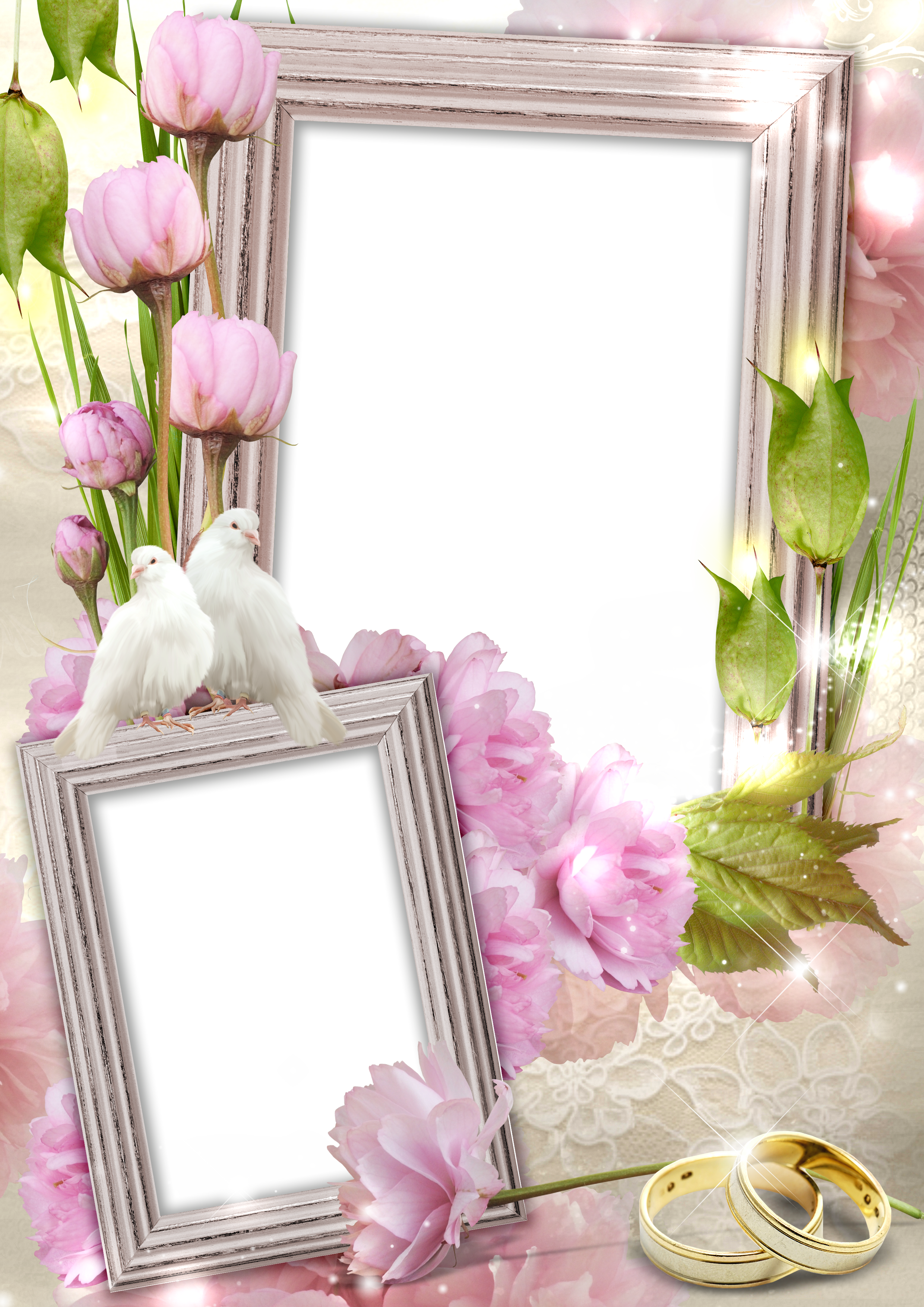 wedding invitation, borders, camera high quality png images