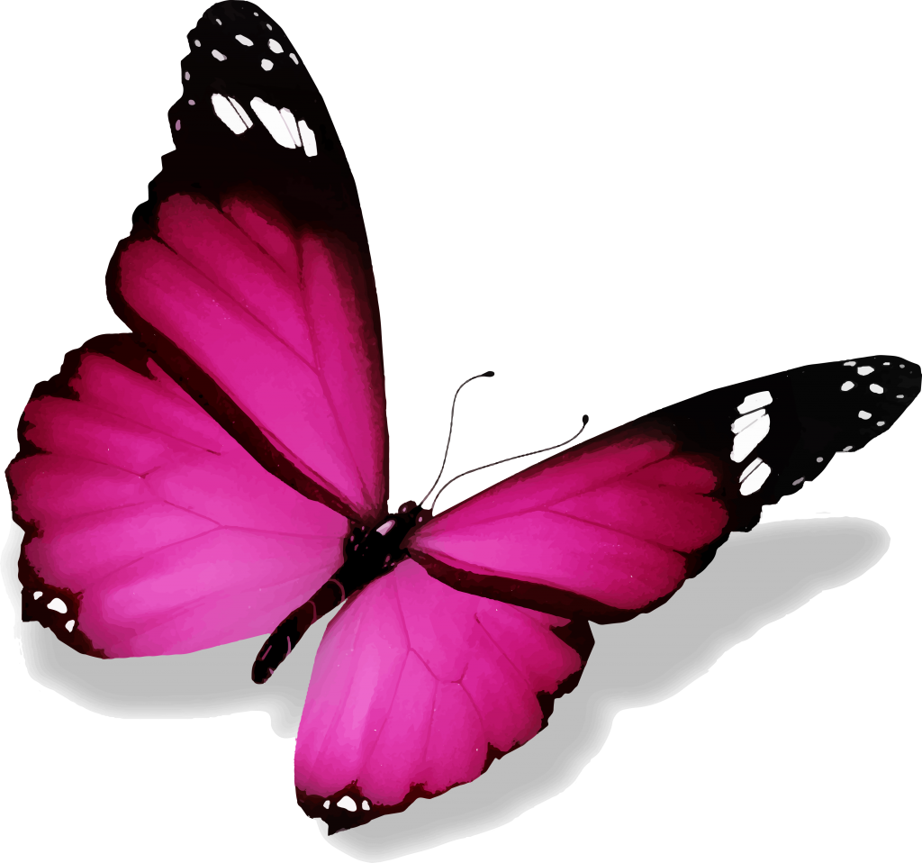 abstract, butterfly, symbol png images online