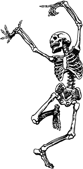 dance, illustration, skeleton png images for photoshop