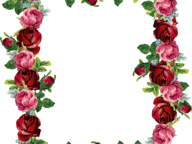 flower, certificate, flowers png images for photoshop
