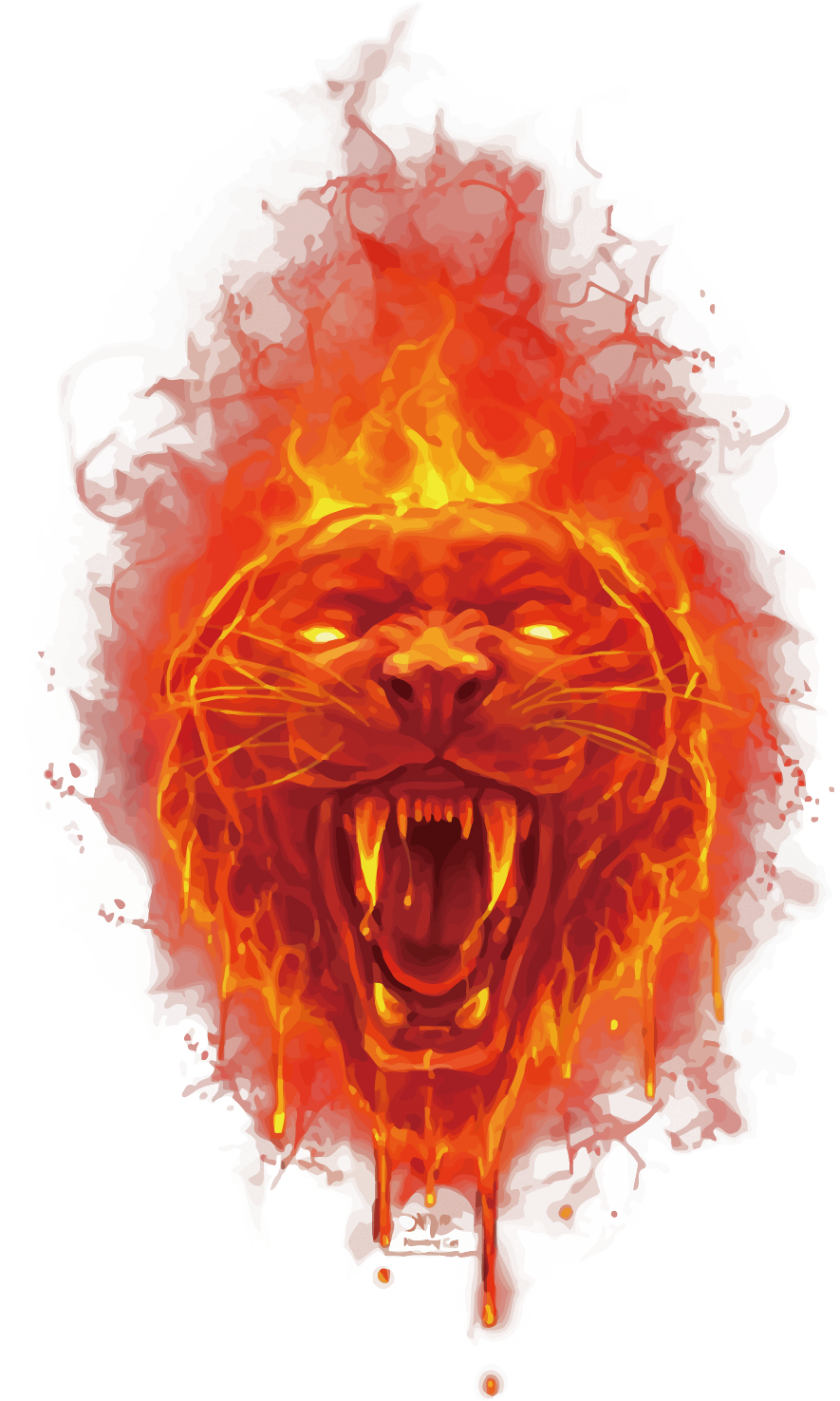 lion, pattern, tiger free png vector
