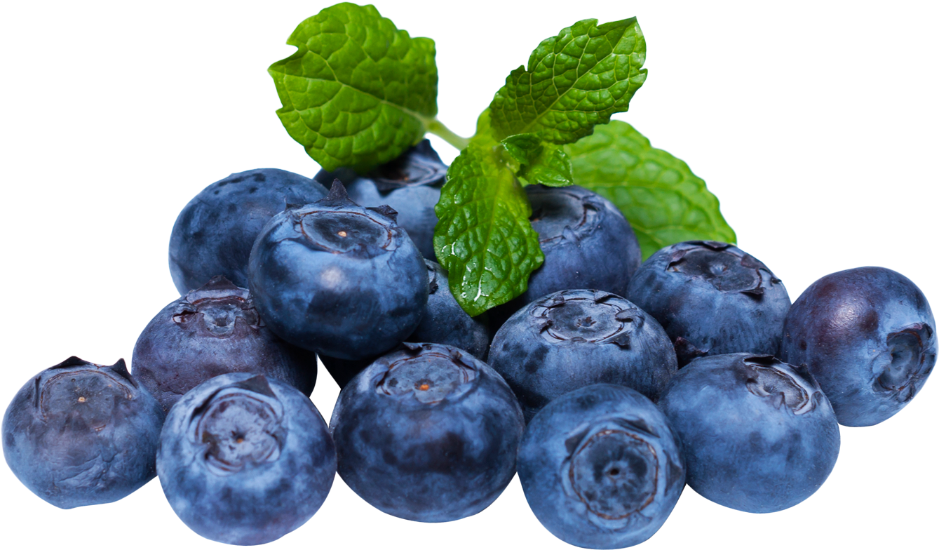 blueberry, isolated, sweet png images for photoshop