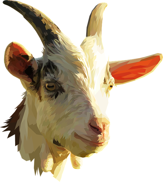 animal, brain, cow 500 png download