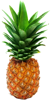 background, texture, ananas PNG images for editing