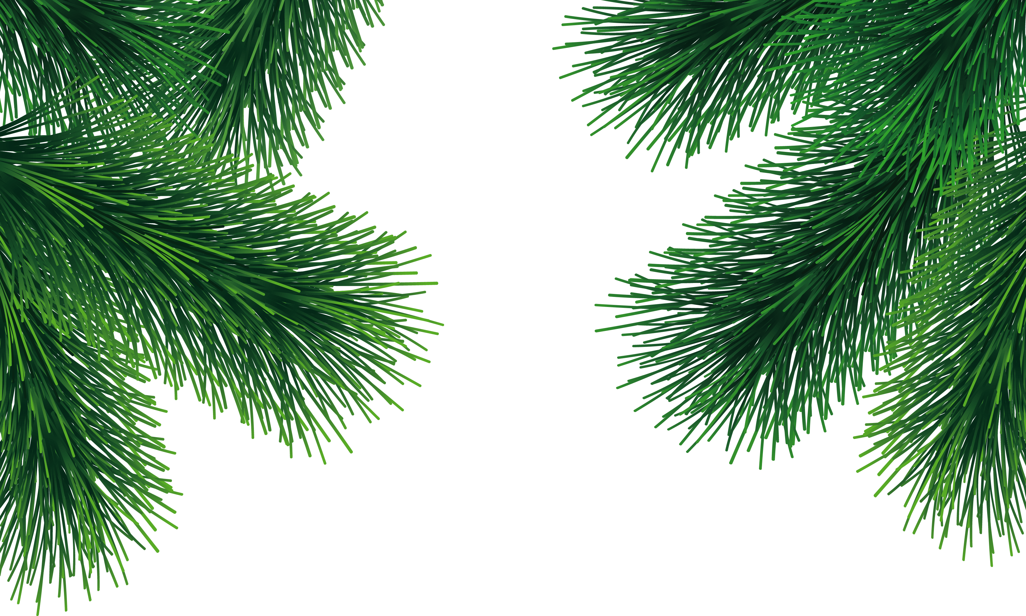 holiday, branches, leaf Png images with transparent background