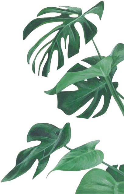 plant, phone, decorative Png images with transparent background
