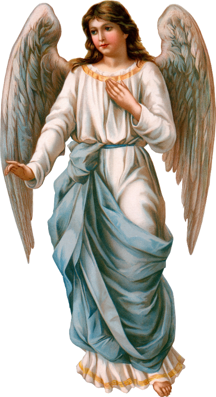 christmas angel, paint, ornament free png vector, transparent png download