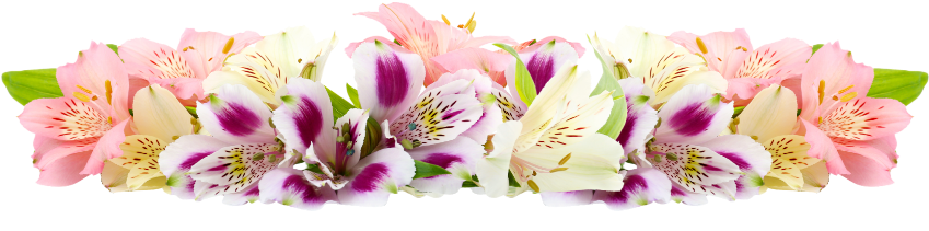 floral, death, colorful Transparent PNG Photoshop