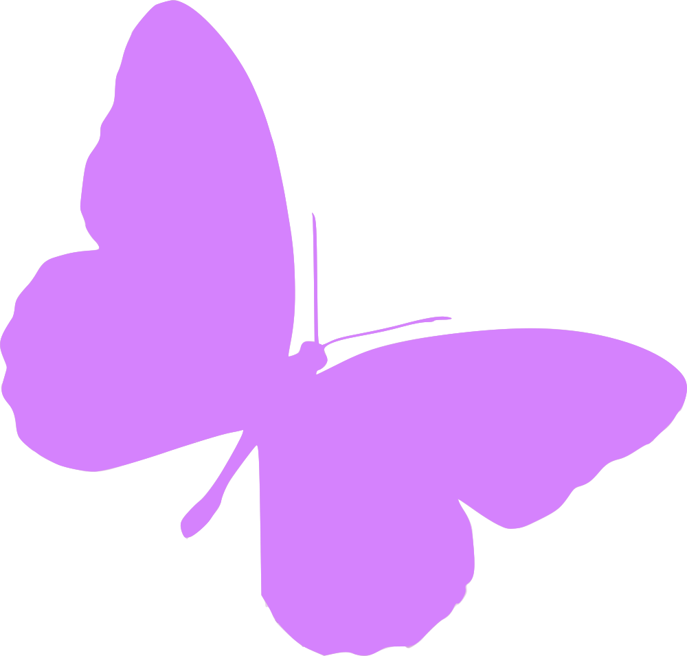 illustration, butterfly, animals Png images gallery