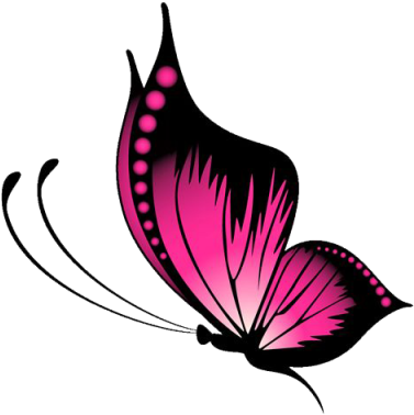 insect, design, love Png images for design