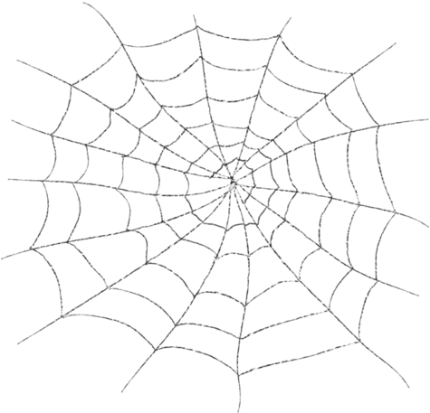 spider web, pdf, logo Png images gallery