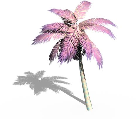 treatment, palm tree, square Transparent PNG Photoshop