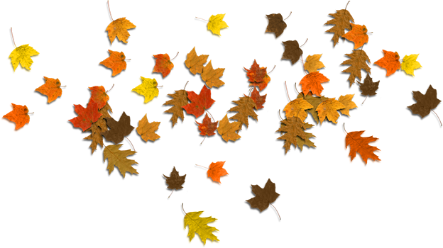 autumn, banner, fall background free png vector