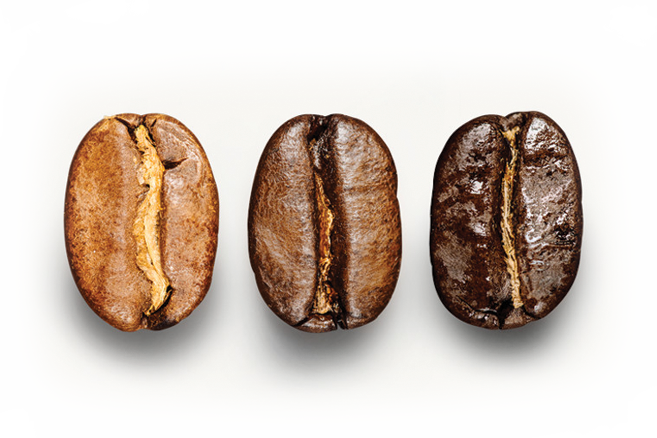 coffee bean, starbucks logo, meat Free Unlimited PNG download