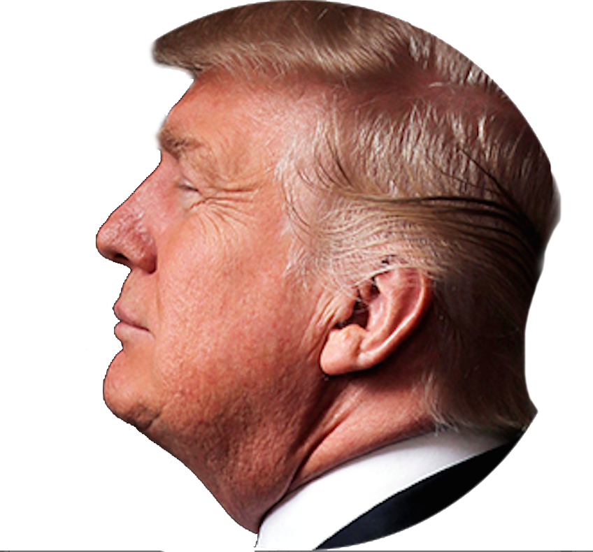 donald trump, square, company Png Background Instagram