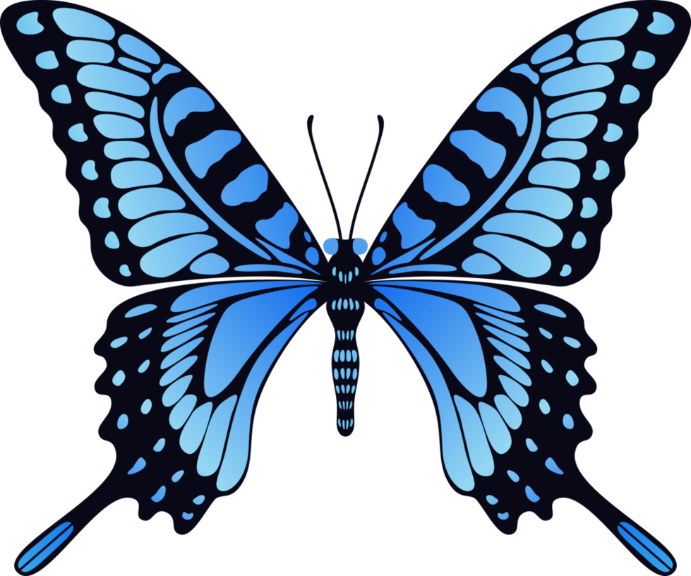 insect, gift, wild 500 png download