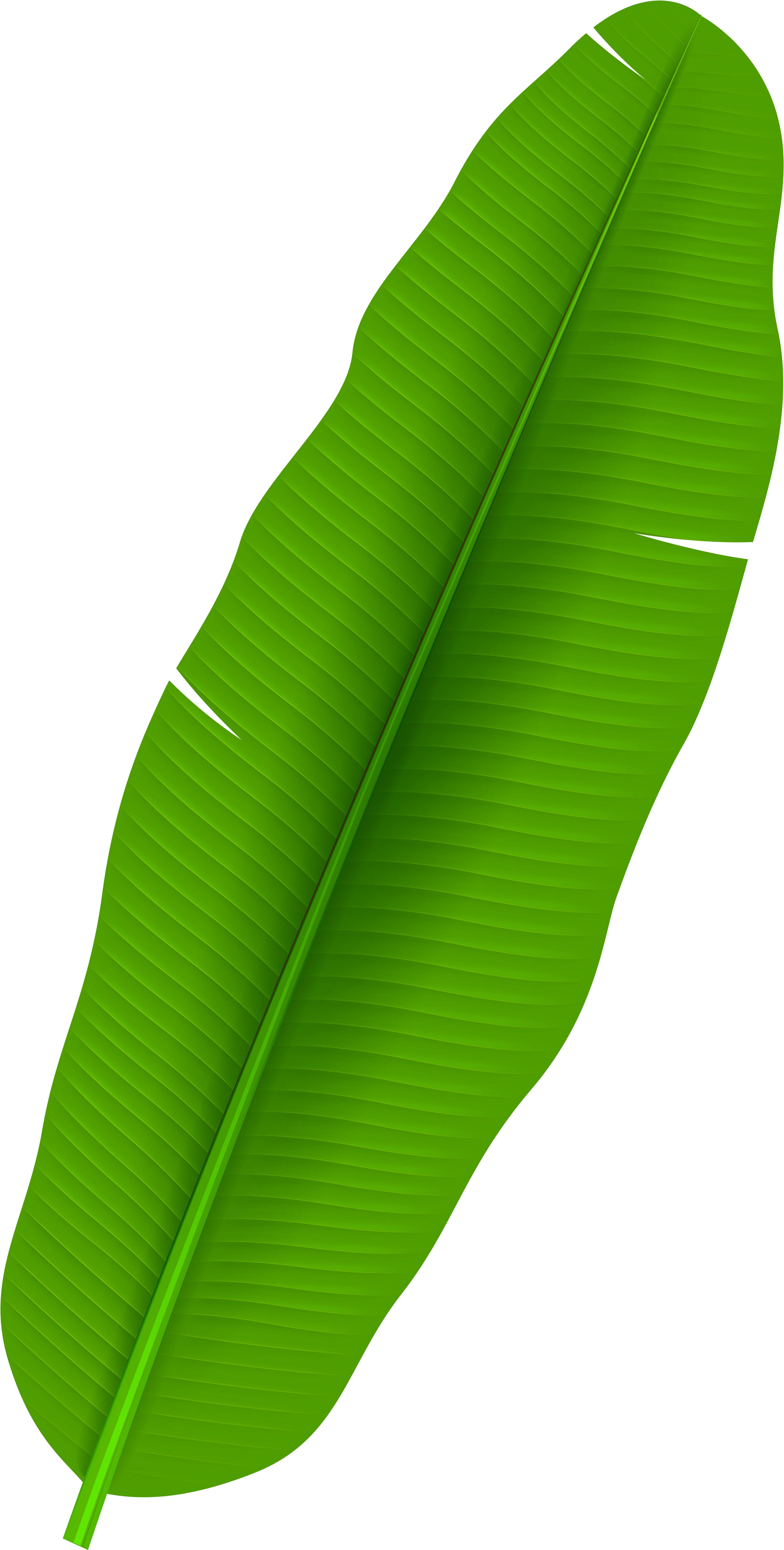 nature, retro clipart, banana leaf Transparent PNG Photoshop