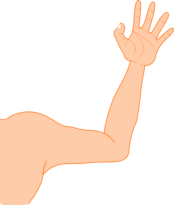 hand, arm, food free png vector